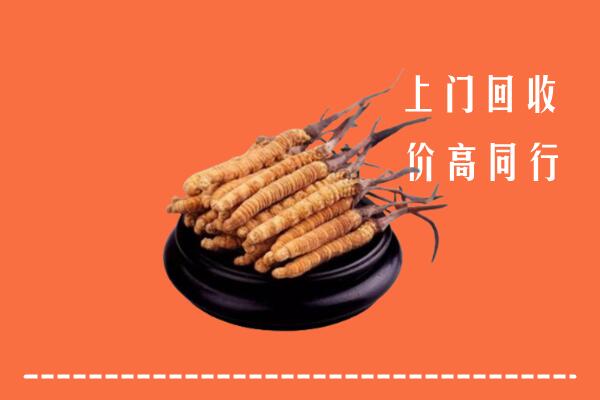 高价求购：合肥市回收散虫草