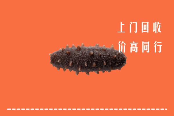 高价求购：合肥市回收海参