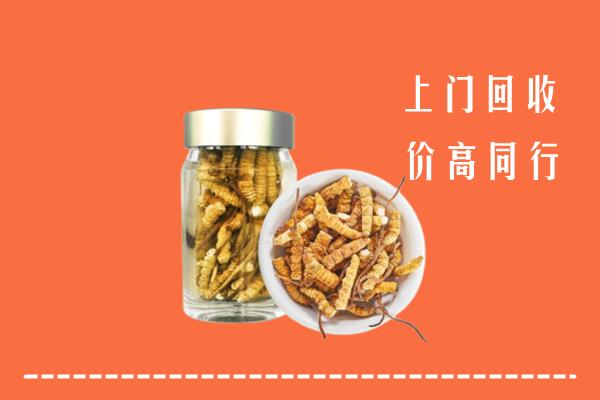 合肥市回收冬虫夏草