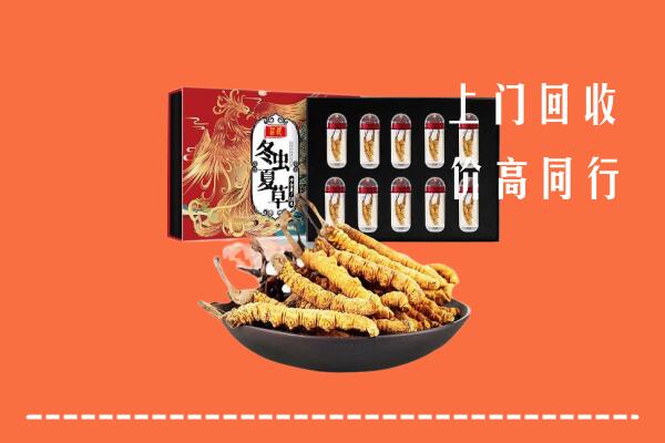 合肥市回收虫草